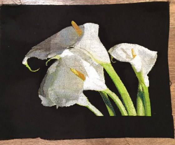 Работа «Мои каллы»