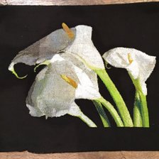 Работа «Мои каллы»