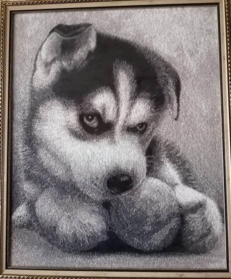 Работа «Щенок Хаски»