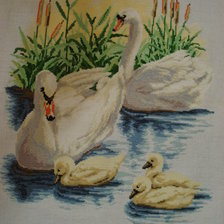 Работа «Лебединая семья»