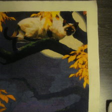 Работа «Полуночный охотник.»