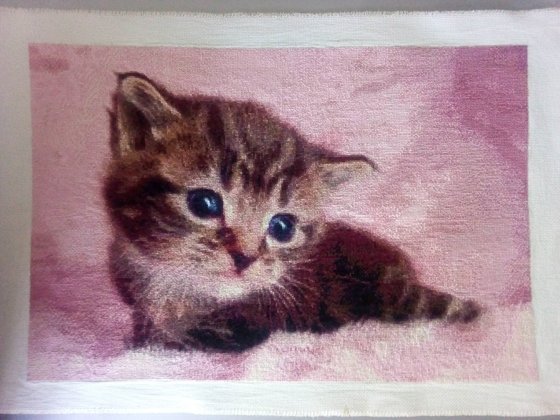 Работа «Котя»