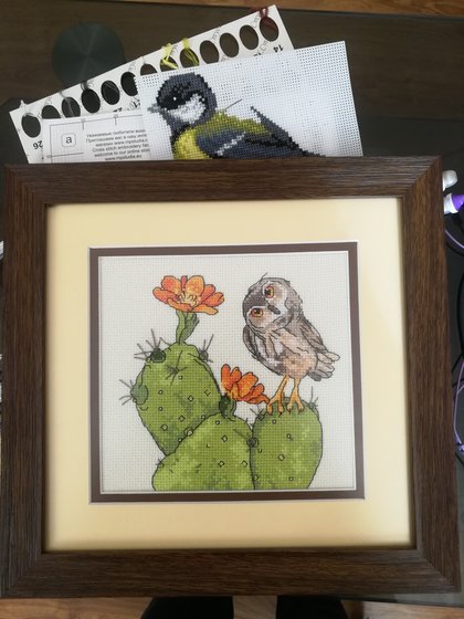 Работа «Колючая сова»