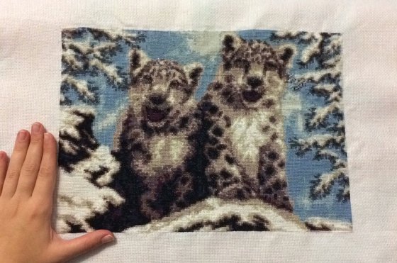 Работа «Снежные барсы»