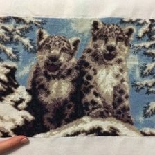 Работа «Снежные барсы»
