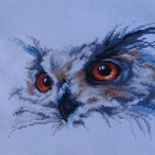 Работа «Сова»