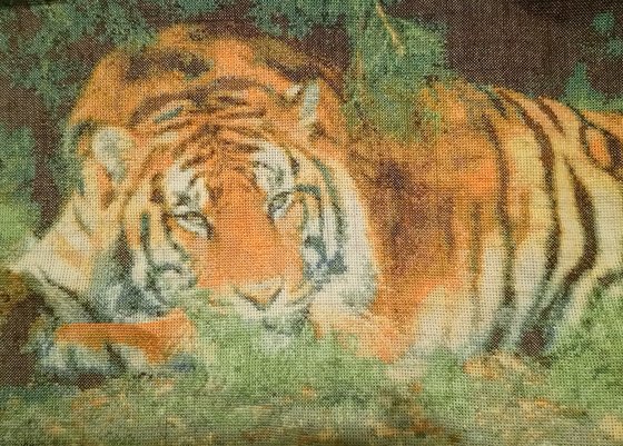Работа «Тигр»