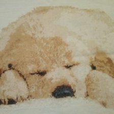 Работа «Щенок»