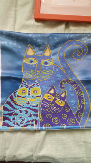 Работа «коты»