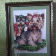 Работа «Терьерчики»