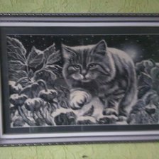 Работа «Камышовый кот»