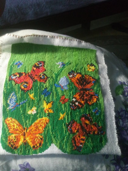 Работа «Очешник по схеме Риолис.»