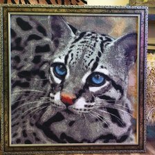 Работа «Дикие кошки»