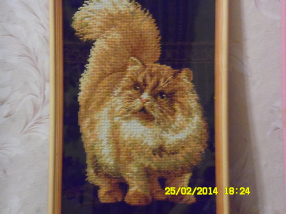 Работа «Рыжий кот»