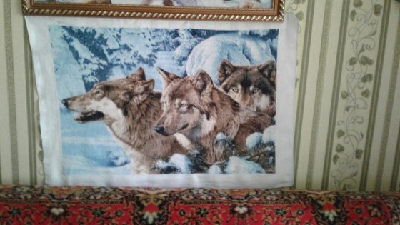 Работа «волк»