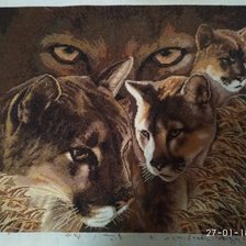 Работа «Взгляд пумы»