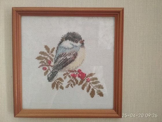 Работа «Птичка»