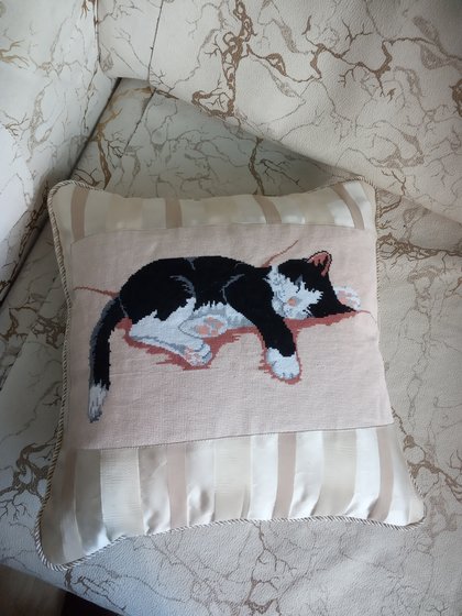 Работа «Спящий кот»