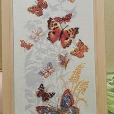 Работа «Бабочки»