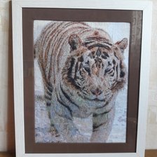 Работа «Снежный тигр»
