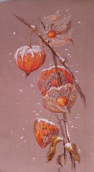 Работа «Физалис под снегом»