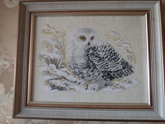 Работа «Сова»