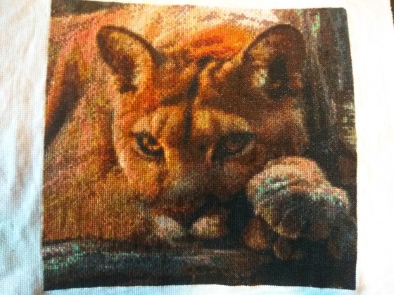 Работа «Пума»