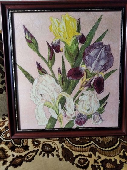 Работа «ИРИСЫ»