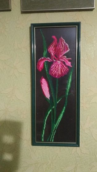 Работа «Ирис»