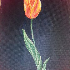 Работа «Тюльпан»