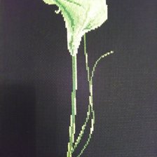 Работа «Кала»