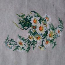 Работа «Ромашки»