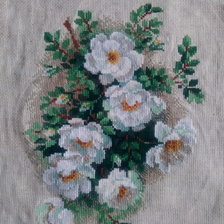 Работа «Шиповник в цвету»