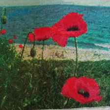 Работа «Лето , море , маки»