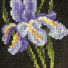 Работа «IRIS (Ирис)»