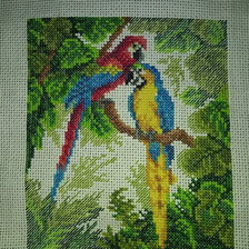 Работа «попугайчики»