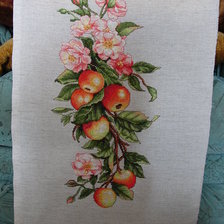 Работа «"Композиция с яблоками" фирма Лука_С»