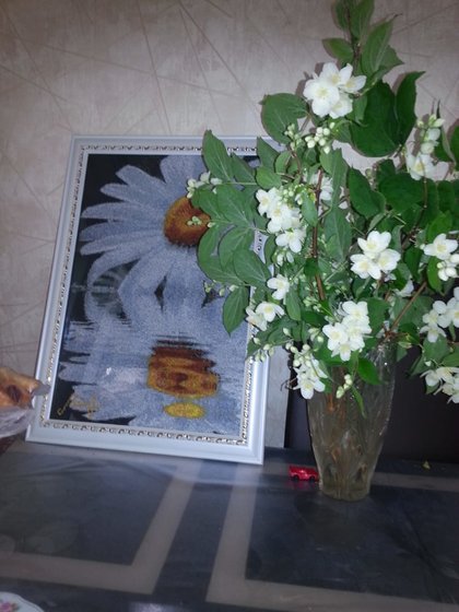 Работа «Ромашка отражение»