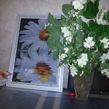 Работа «Ромашка отражение»