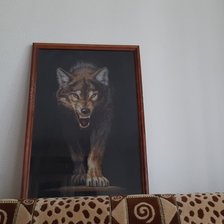 Работа «Волчица»