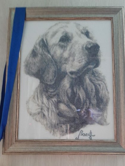 Работа «Портрет лабрадора!»