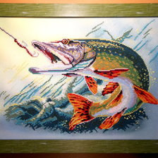 Работа «Щука.»