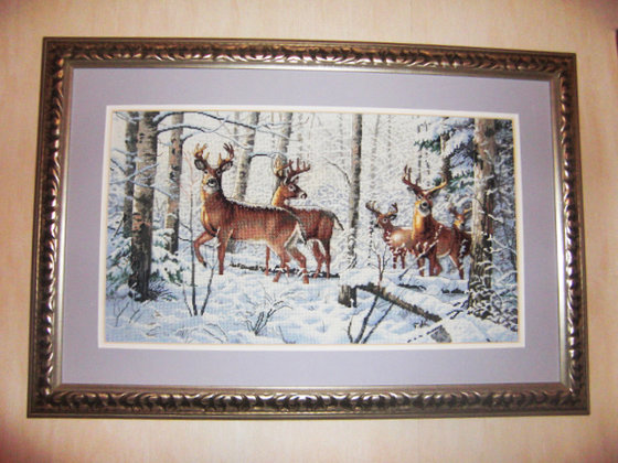 Работа «Зимнее кружево»