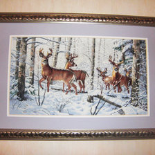 Работа «Зимнее кружево»