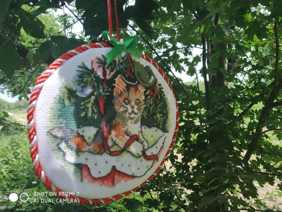 Работа «котик»