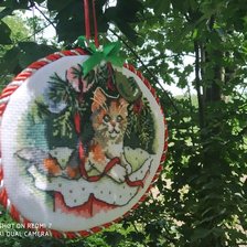 Работа «котик»