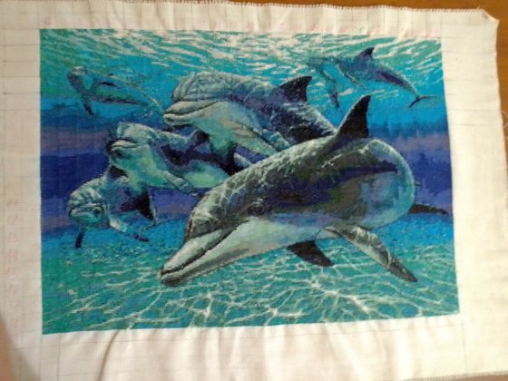Работа «Стая дельфинов»