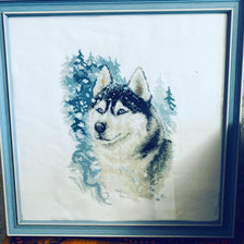 Работа «Верный хаски»