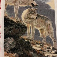 Работа «Волки»