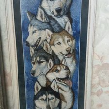 Работа «Сибирские хаски»